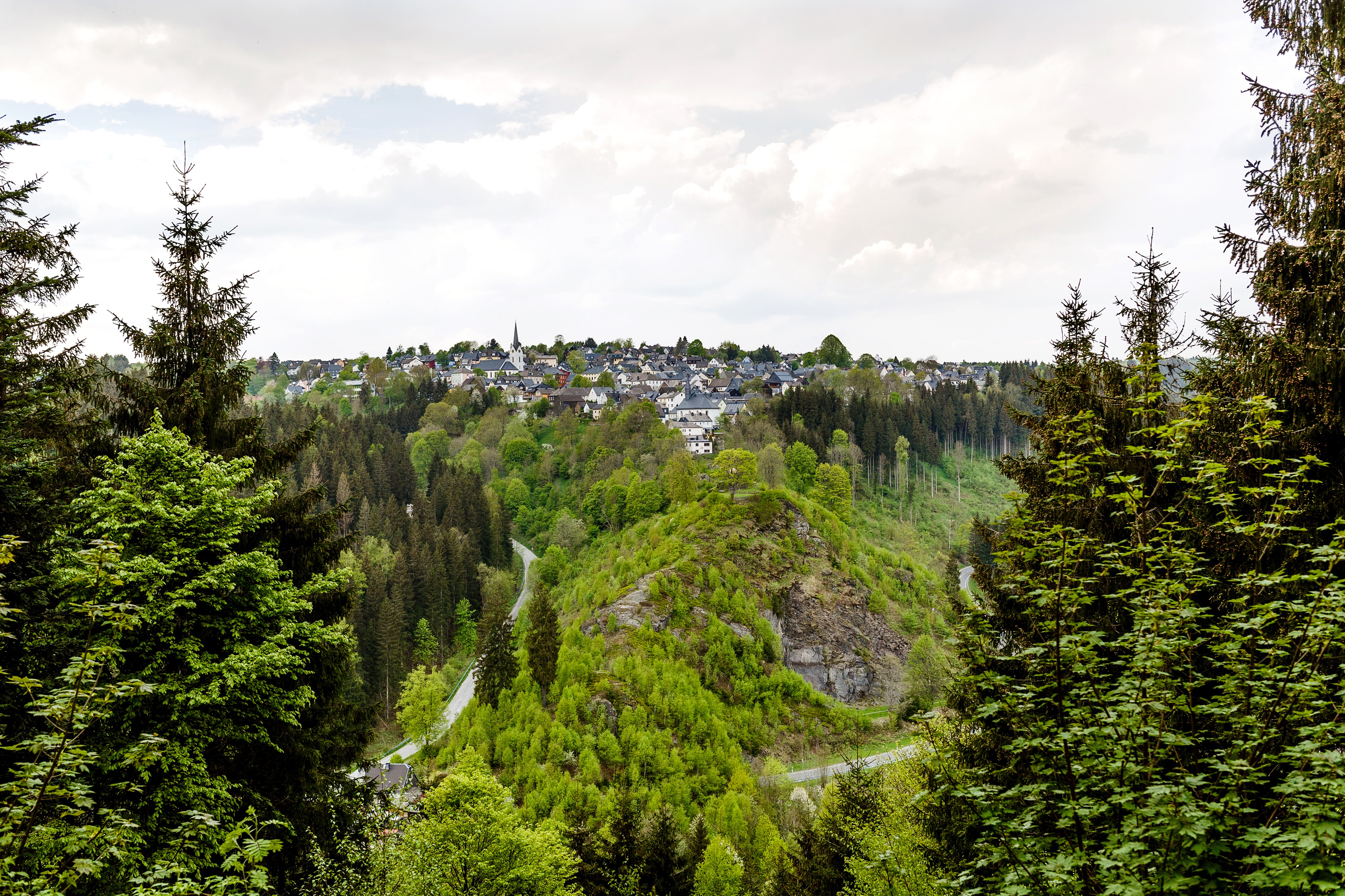 Blick auf Nordhalbener Schlossberg.