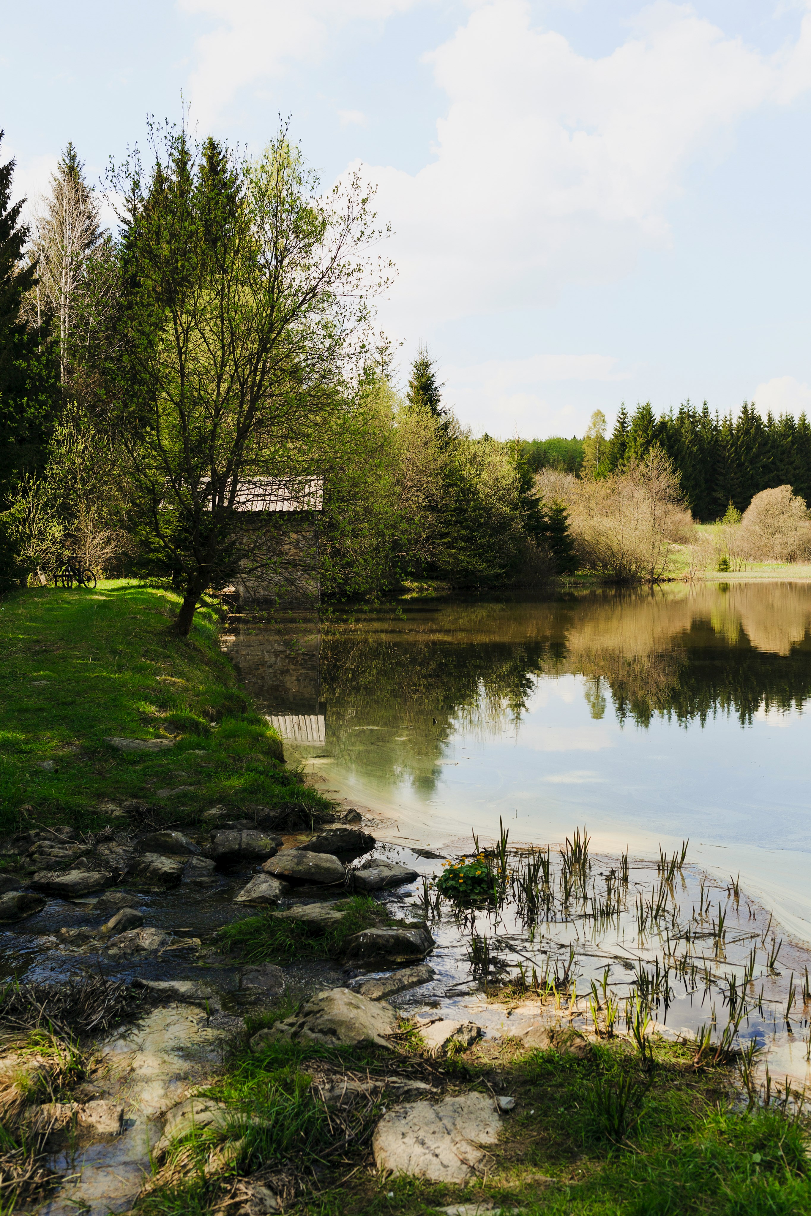 Vorfrühling am Schwarzen Teich