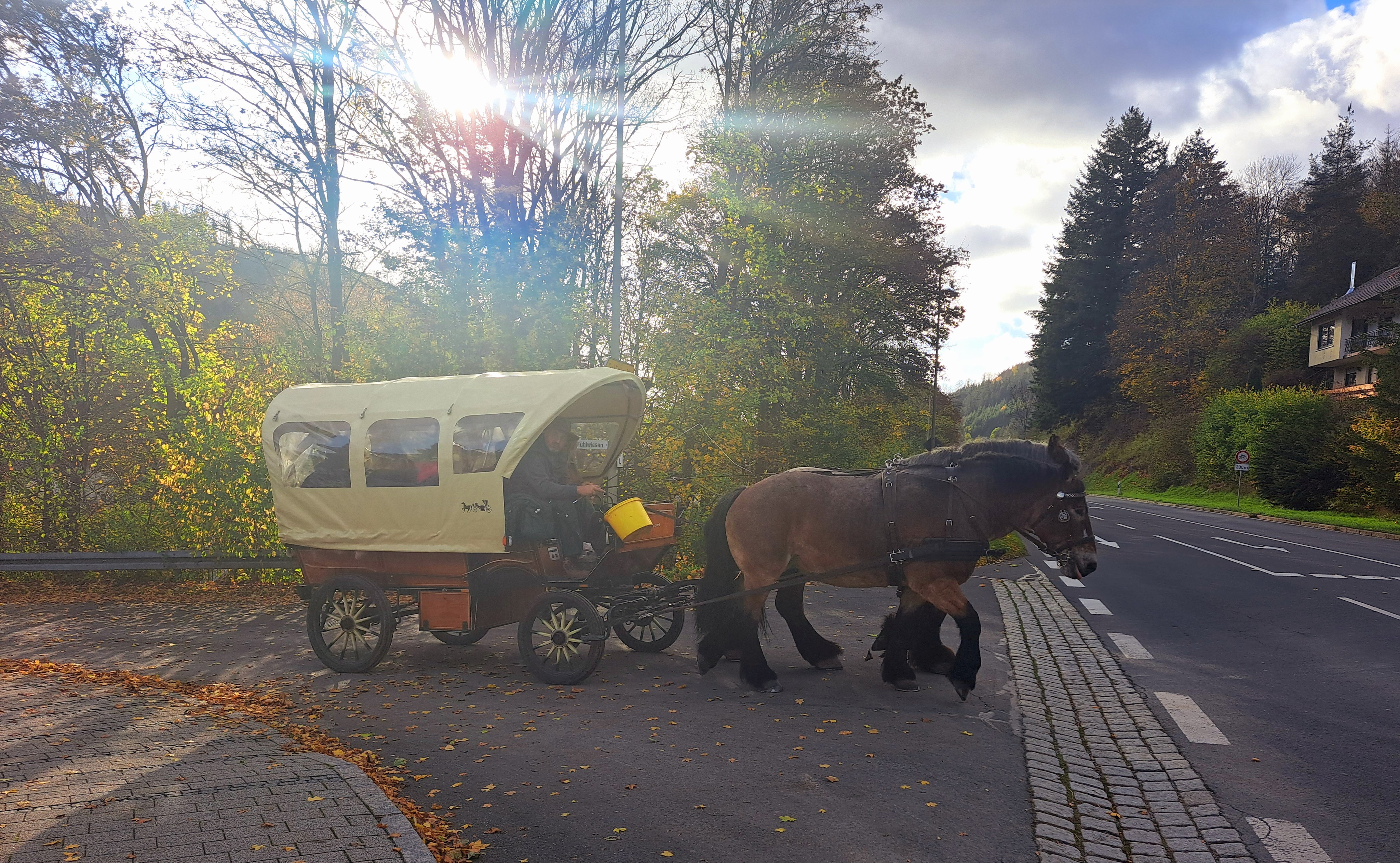 Kutschfahrt ins Leitschtal
