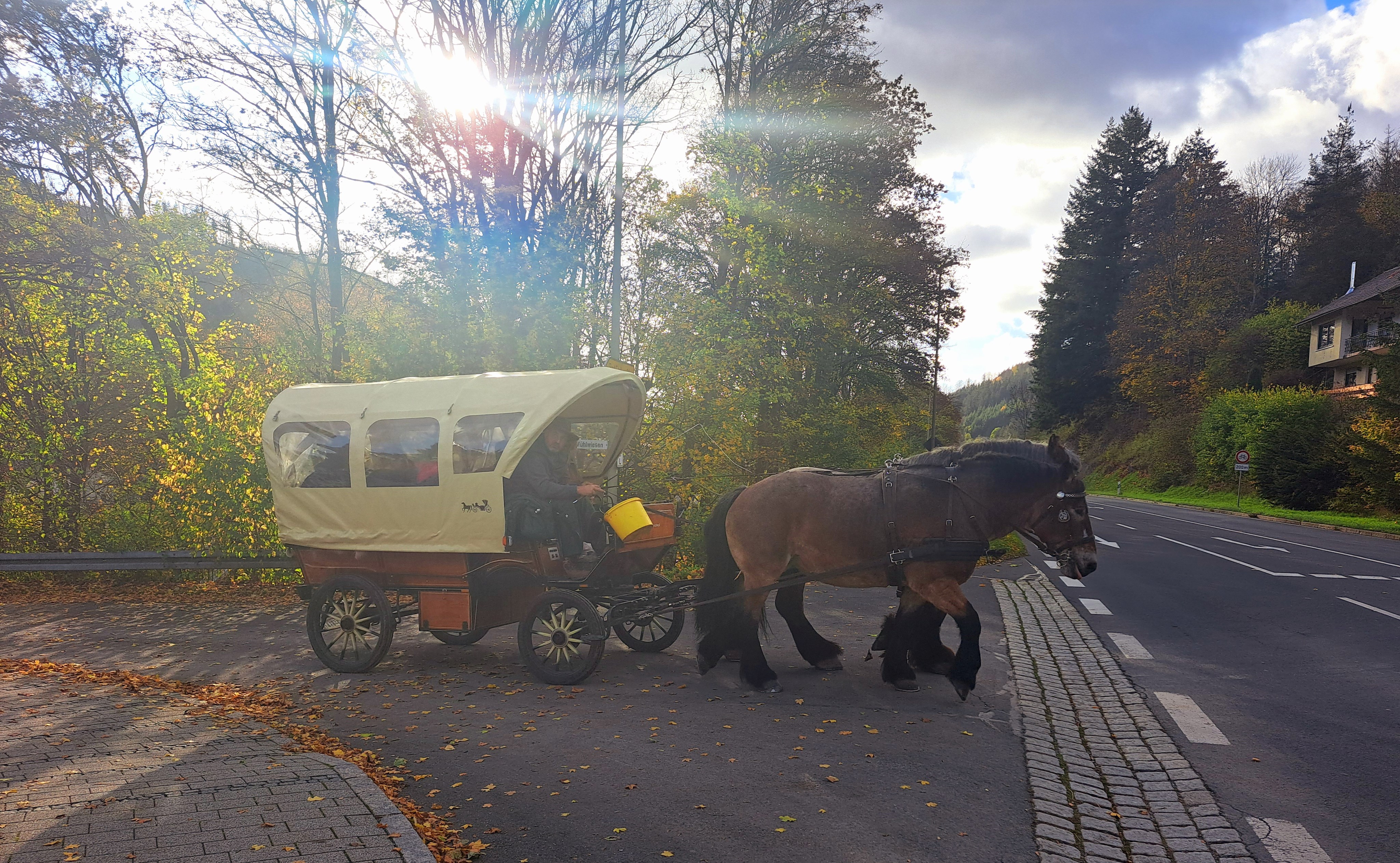 Kutschfahrt ins Leitschtal.jpg