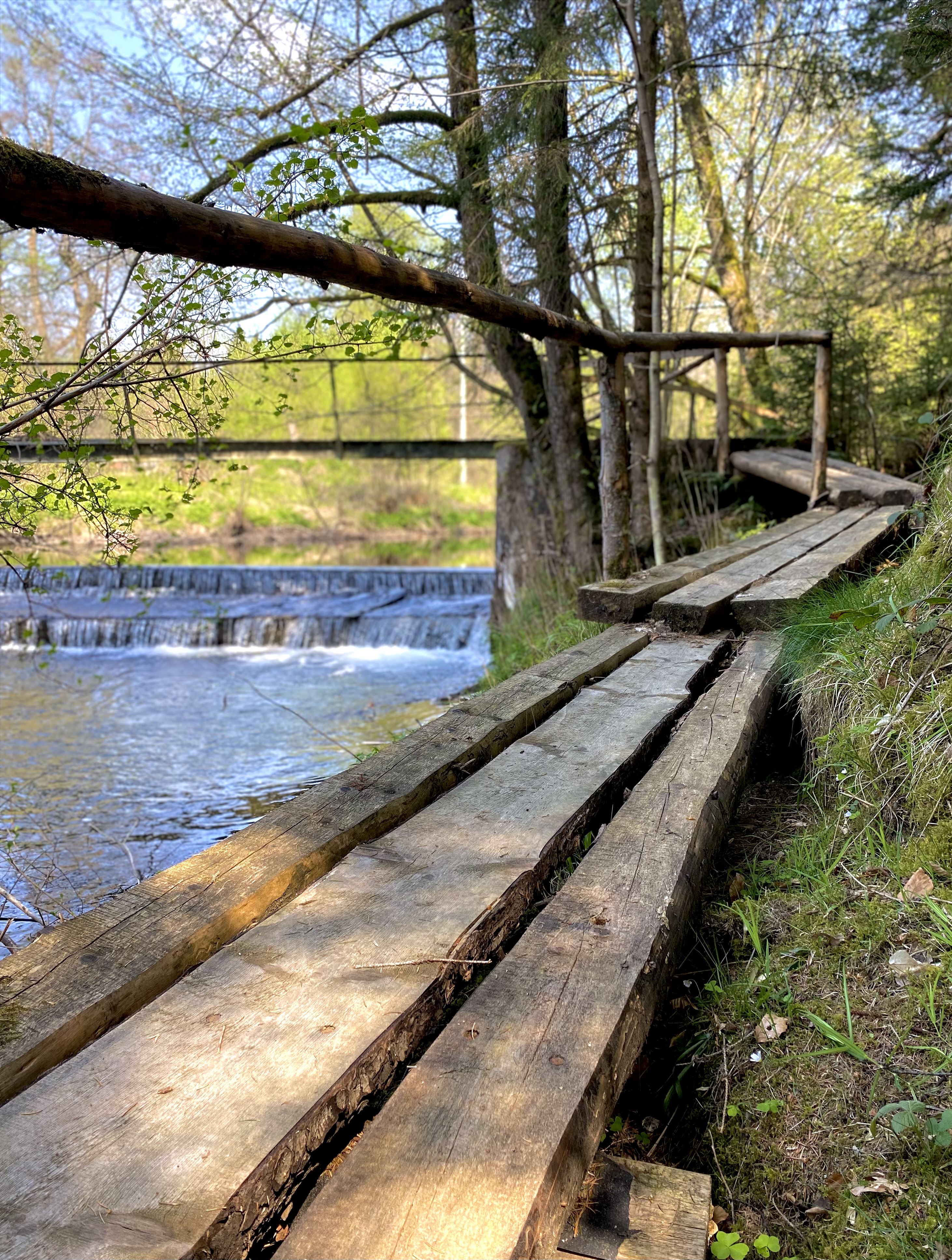 An der Rodach. Foto von Steffi Ring, 7. Platz im Wettbewerb Leider haben wir keinen Alternativtext zu diesem Bild, aber wir arbeiten daran.