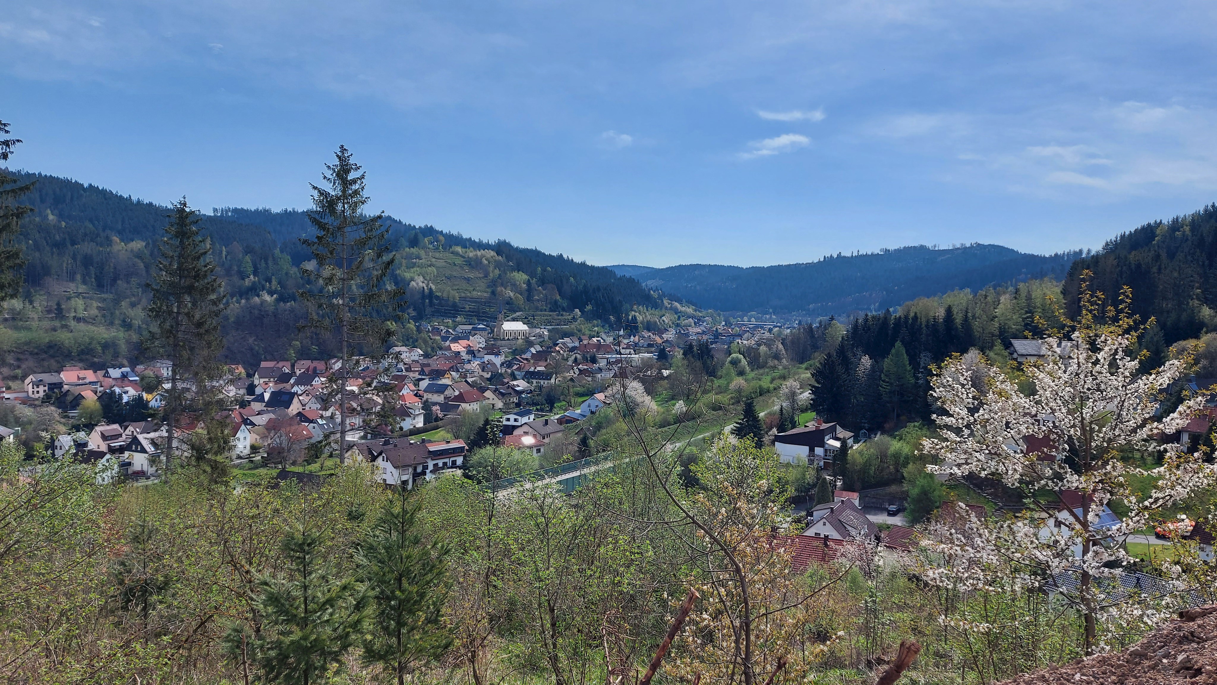 Wallenfels im Tal der Wilden Rodach