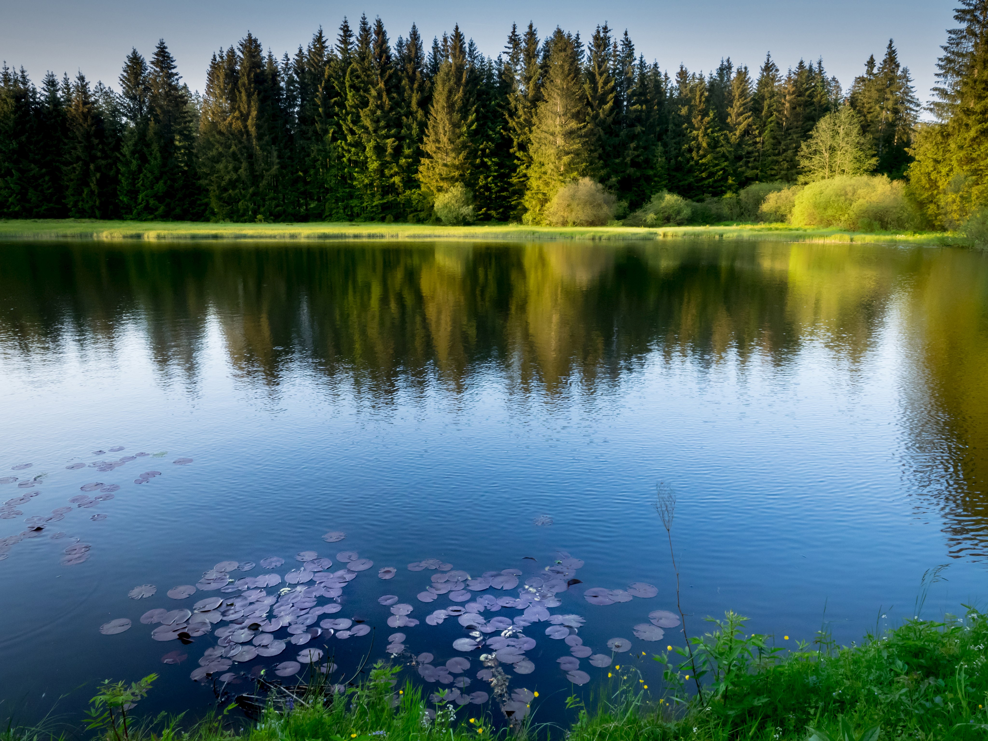 Schwarzer Teich_Foto Alexander Mohr_DF.jpg