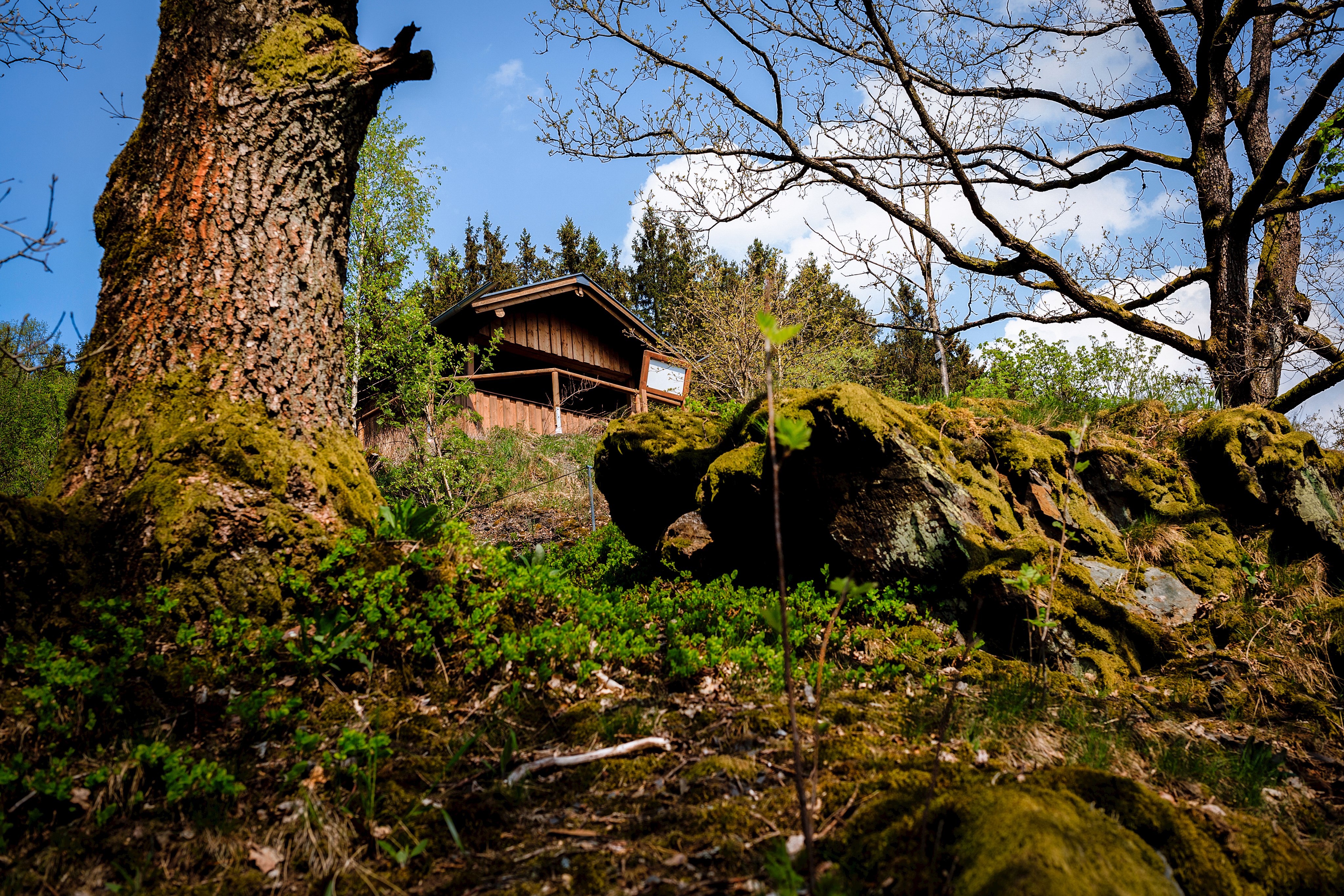 Silberberg_Foto Luisa Mähringer_DF.jpg