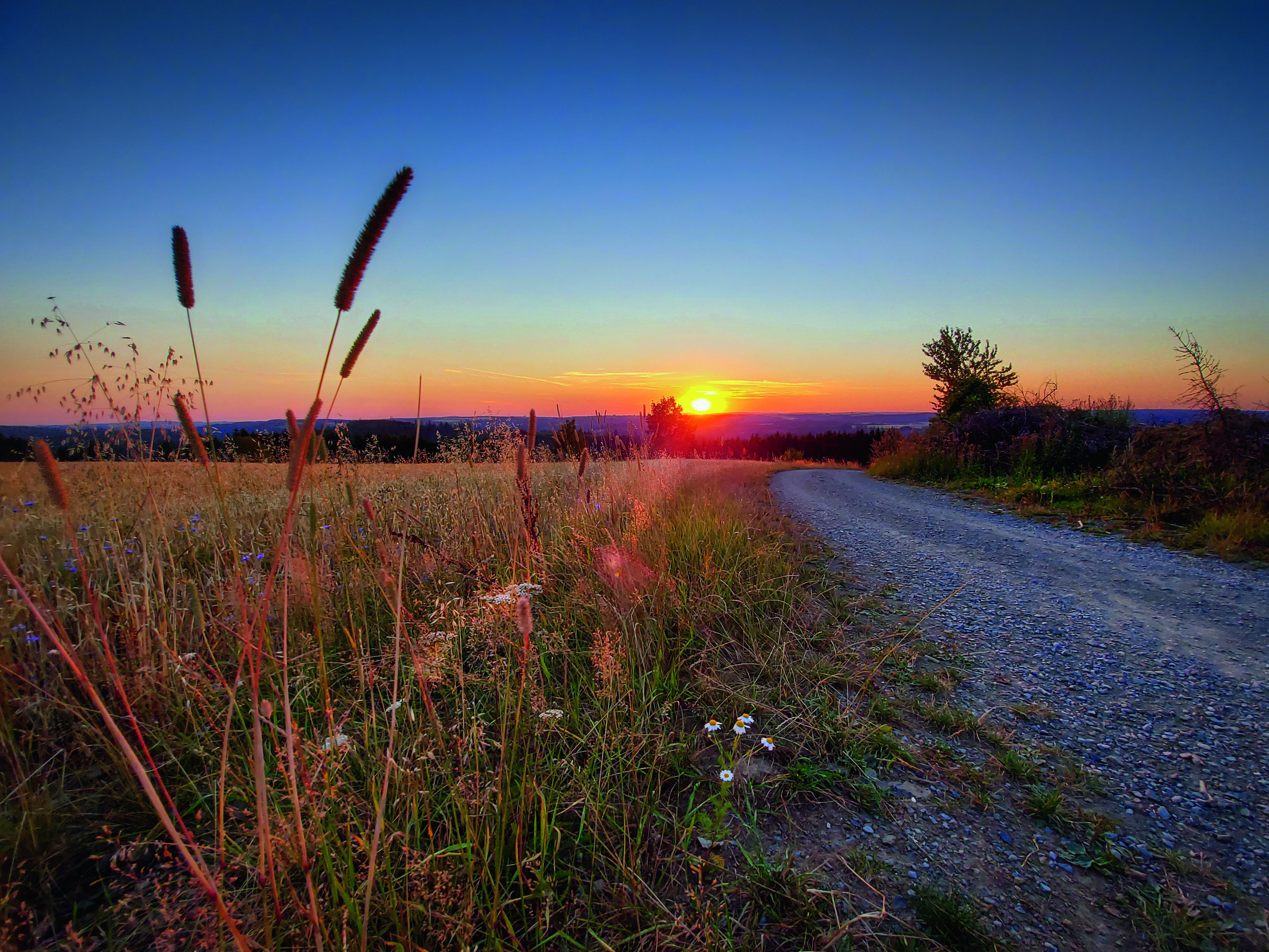 Sonnenuntergang bei Neuengrün_Foto Sandra Heinz_DF.jpg