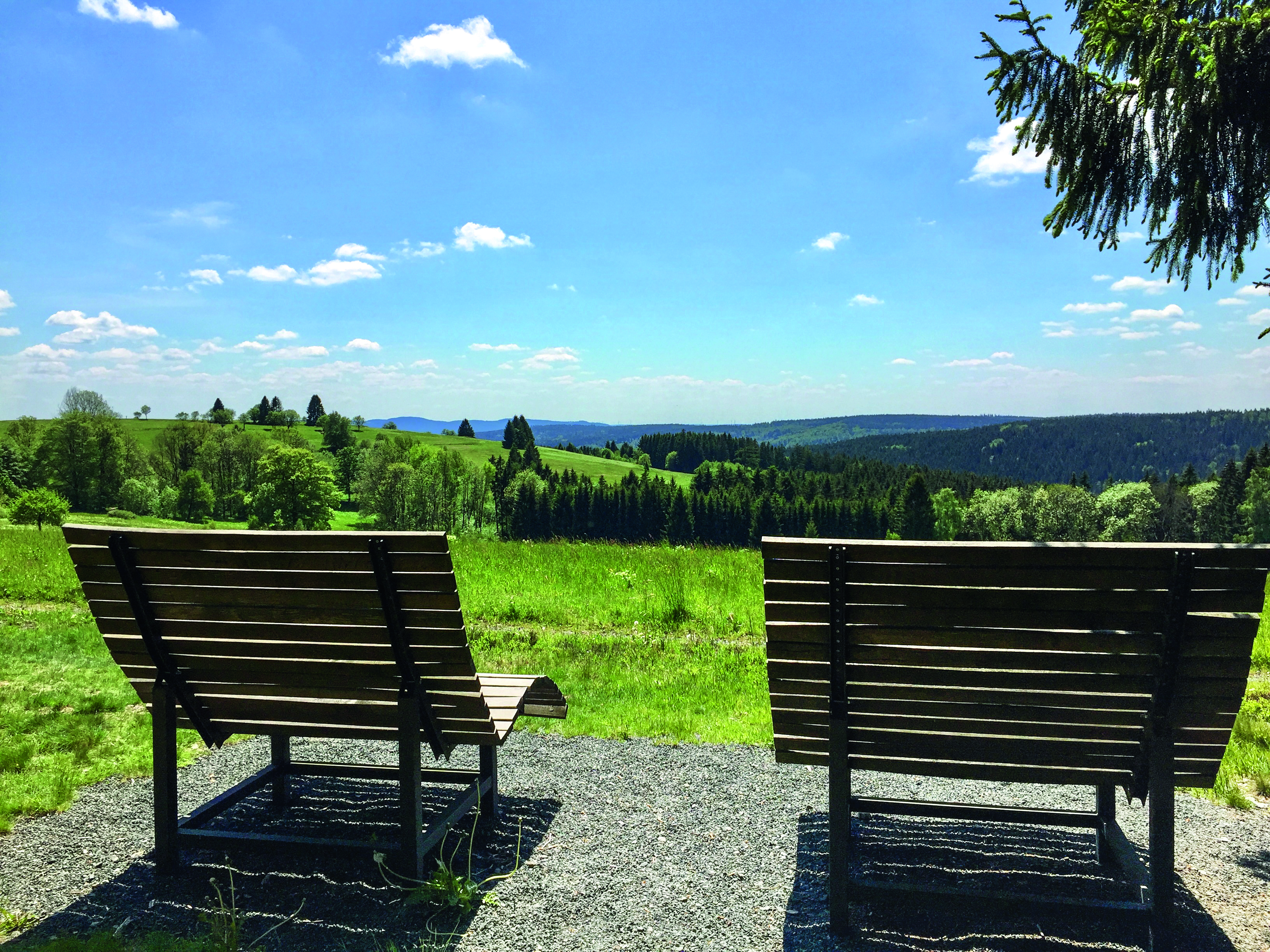 Wiesen-Panorama-Weg_Foto Anja Wunder_DF.jpg