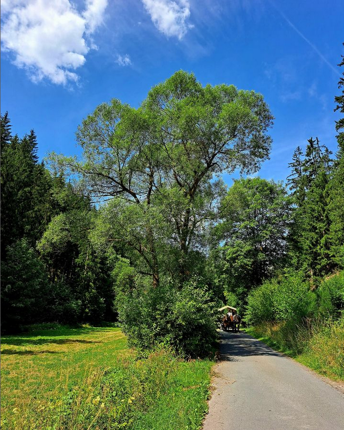 Kutschfahrt ins Leitschtal