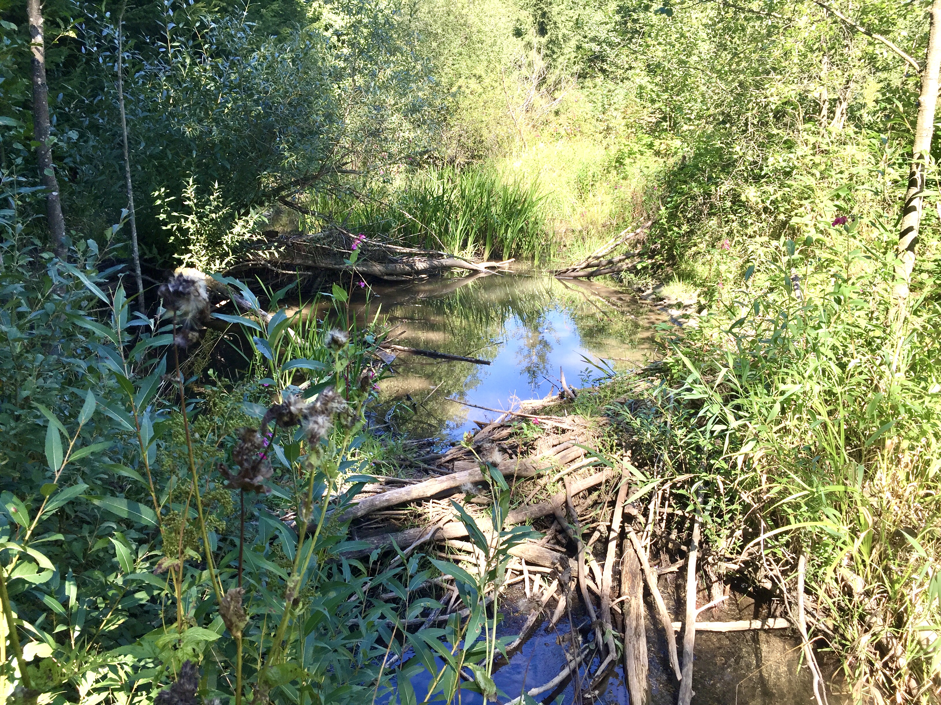 Auf den Spuren des Baumeisters im Lamitztal