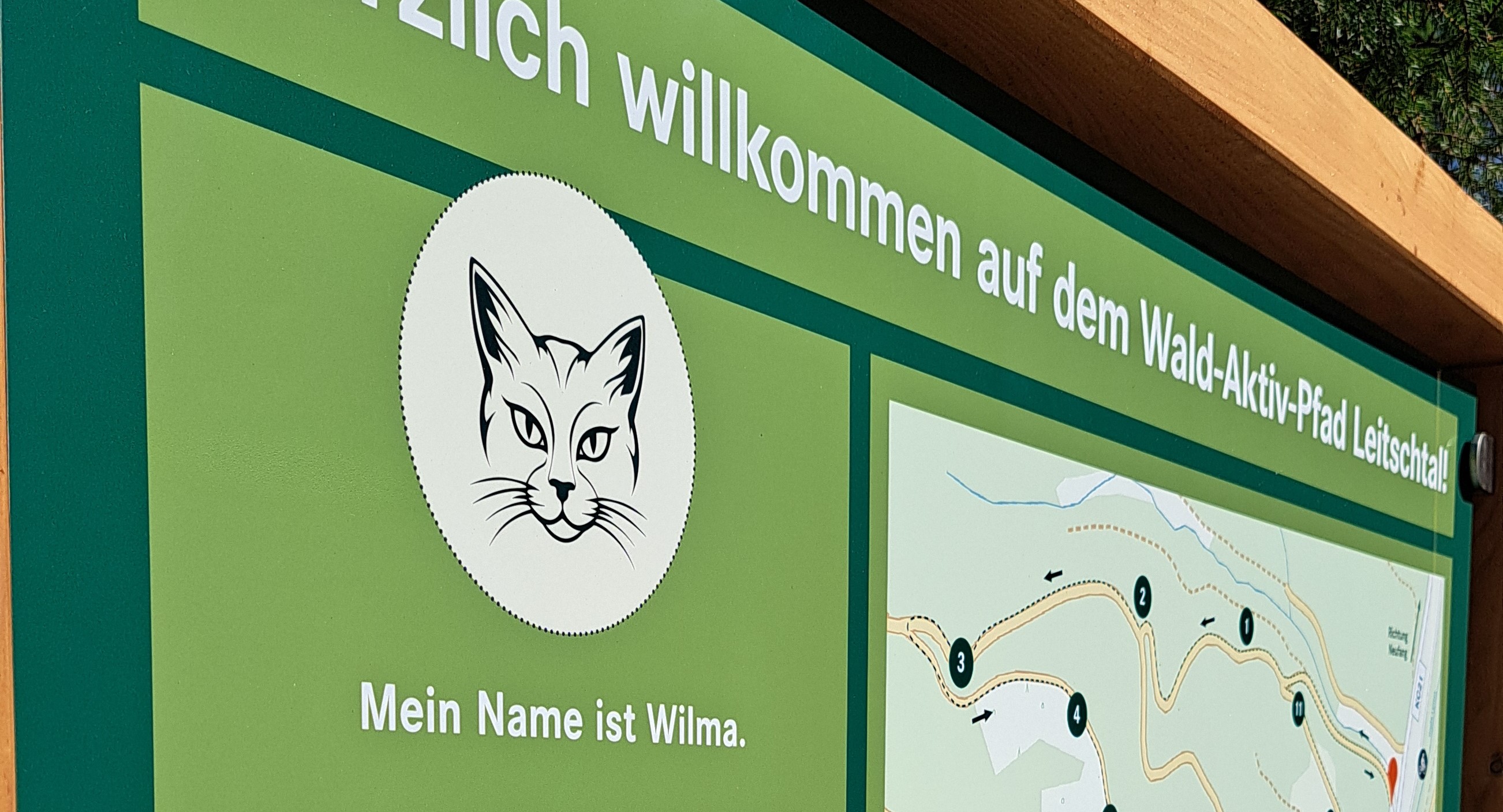 wald-aktiv-pfad leitschtal.jpg