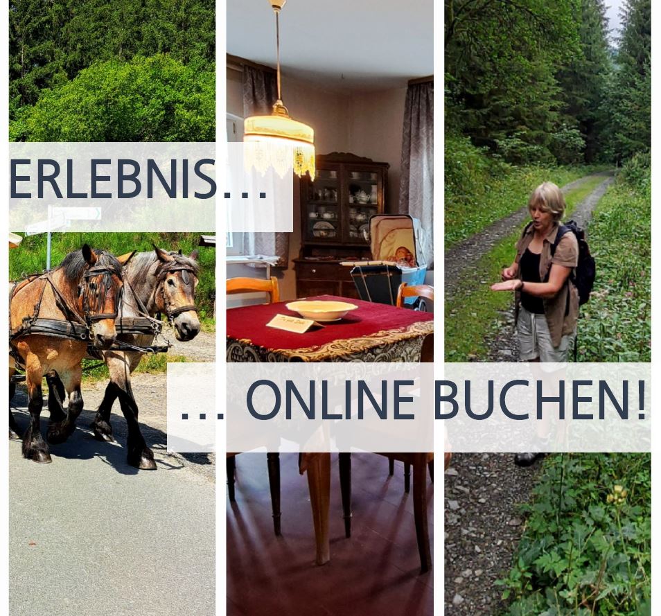 erlebnis online buchen_2.JPG